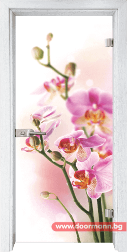 Стъклена врата модел Print 13-2 - Бреза Стъклена врата модел Print 13-2 - Бреза